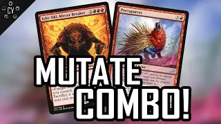 Mutate Combo with Kiki-Jiki! #Shorts