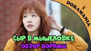 Сыр в мышеловке - обзор дорамы / Cheese in the Trap от Doramania, дорама 2016 года