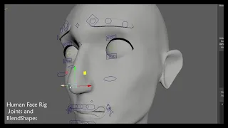 Technical Animator (Rigging) Showreel 2019