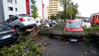 На Петербург обрушился ураган Мортимер с градом