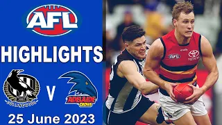 Highlights | Adelaide Crows v Collingwood Magpies | AFL-Round 15, 2023