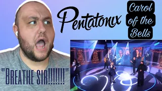 PTX "Carol of the Bells" - Christmas Under the Stars | Voice Teacher Reaction