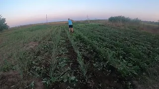 ЖИЗНЬ В ДЕРЕВНЕ/ ОГОРОДНЫЕ ДЕЛА / СОПАЕМ С ПАПОЙ ГРЯДКИ