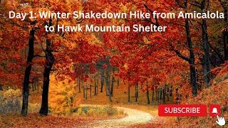 Appalachian Trail: Winter Shakedown Hike (V29); Amicalola to Hawk Mountain Shelter; approx. 16 miles