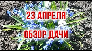 23 АПРЕЛЯ.  ОБЗОР ДАЧИ