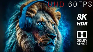 Wild Animals Collection 8K HDR 60FPS Dolby Atmos