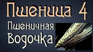 Самогонщик Тимофей. Пшеничная брага 4. Пшеничная водка.