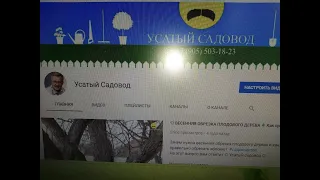 ☼Зелёный горох любимое лакомство детей.