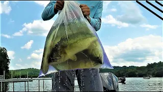 Can I Compete With Locals?  Watts Bar Bass Tournament June 2019