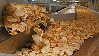 Potato chips factory | Chips making process #food #chips #lays #potato