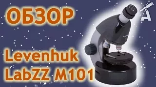 Review of microscope Levenhuk LabZZ M101
