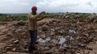 In north Syria, eating grasses to survive