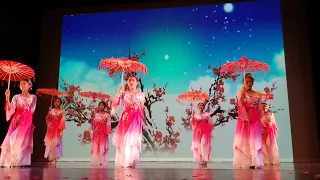 Chinese graceful dance performance