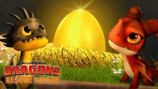 DRAGONS RESCUE RIDERS: HUNT FOR THE GOLDEN DRAGON | Trailer