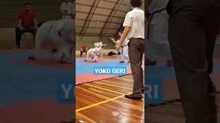 YOKO GERI - Chute lateral do Karate
