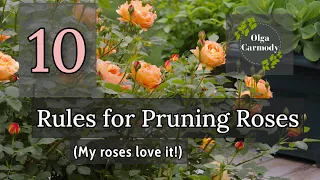 10 Rules for Trimming Roses