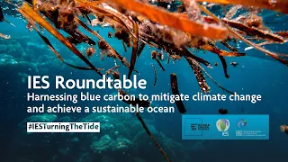 #IESTurningTheTide: Harnessing blue carbon to mitigate climate change & achieve a sustainable ocean