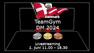 Tolv senior hold er klar til TeamGym DM på lørdag den 1. juni