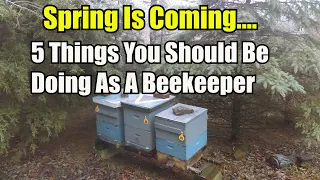 Spring Is Coming...5 Things You Should Be Doing As A Beekeeper