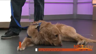 ND Today: Dog Training for Humans