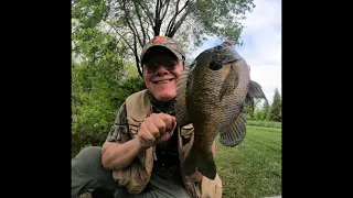 MAGNUM BLUEGILLS!... on Micro Baits! Pre-Spawn Giant bluegills!