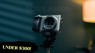 Sony a6000 in 2023 - The BEST camera under $300