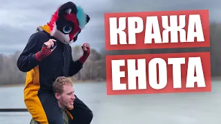 КРАЖА ЕНОТА ✅ ФУРРИ прогулка в МОСКВЕ