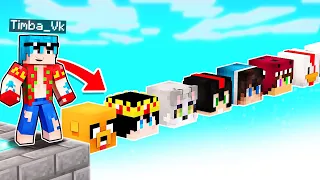 MINECRAFT: ¡Sobrevive al SKYBLOCK de LOS COMPAS de LUCKY BLOCKS! ☠️😱 TIMBA VK