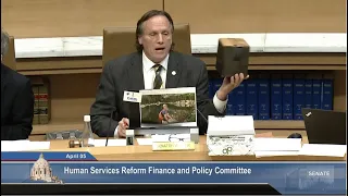 Committee on Human Services Reform Finance and Policy - 04/05/2022