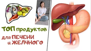 Лучшие продукты для печени и желчного пузыря. Что любит наша печень