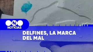 COCAÍNA y DELFINES, el SELLO del PATRÓN DEL NORTE - Telefe Noticias