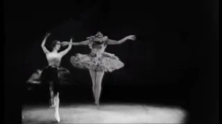 Anna Pavlova’s Dying Swan but with a spin