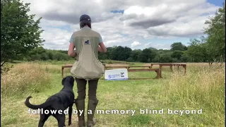 Drill & Flinger Dummy by Laura Hill of Stauntonvale Gundogs