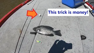 Crappie under a dock wont bite? This trick will make them bite! April 2022!