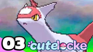 Pokémon Alpha Sapphire Randomizer Cutelocke #3