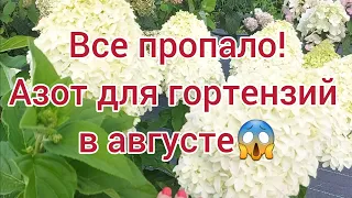 Никогда так не делайте❗ Иначе соцветия  станут крупнее🤣 Результат подкормки.