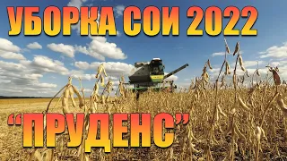 Уборка сои 2022 г.  Сорт "Пруденс", прямой посев.