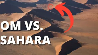 Ai Picat În Desertul Sahara -  Ce Faci?