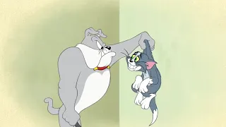 Tom and Jerry Tales 2006   S01E01   Tiger Cat 1080p WEB DL x265 RCVR
