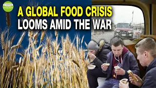 World faces food crisis due to Russia-Ukraine war/China has stockpiled massive amounts of food/