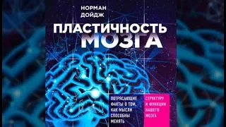 Пластичность мозга | Норман Дойдж (аудиокнига отрывок)