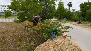 The Best Project Landfill Up with Operator Bulldozer Pushing Stone & Dump Truck Transport Stone