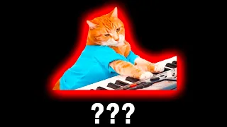 13 Piano Cat Sound Variations