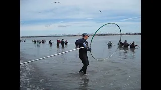 Kenai River Salmon Dipnetting