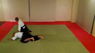 2nd Kyu Tachi waza Ushiro ryo hiji dori Ikkyo