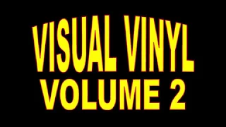 VISUAL VINYL VOLUME 2