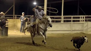 Tie Down Calf Roping - Open, #9, #10 at Team Collins Jackpots