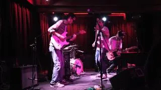 "Days Of Grey/Seein' Blues" - THE WESTERN RED PENGUINS Live @ The Sunset Tavern 04/31/14