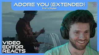 Video Editor Reacts to Harry Styles - Adore You (Extended Version)