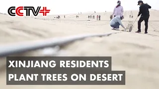 Xinjiang Residents Plant 8,000 Ha of Trees on Desert to Protect Home